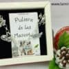 Pulsera de las Mascotas en plata.