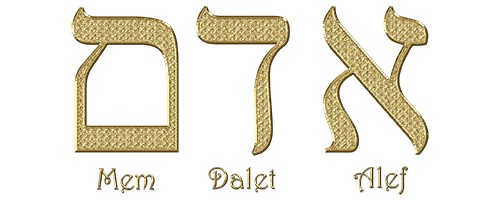 Las letras en Hebreo “Alef-Dalet-Mem”. traducidas significan Adán