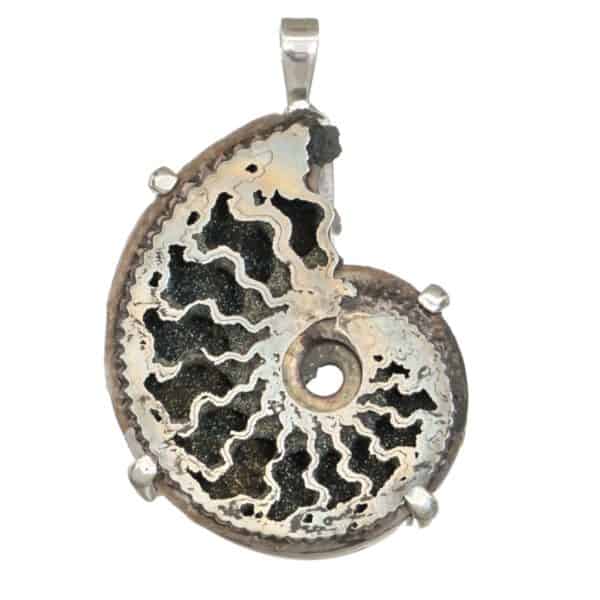 Colgante exclusivo de plata con fósil de Ammonites piritizado procedente de Ucrania (1)