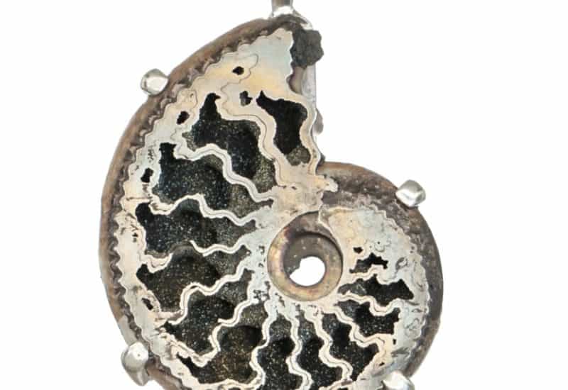 Espectacular colgante de Ammonites de pirita cristalizada