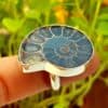 Anillo ammonites en plata (5)