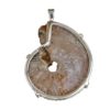 Colgante exclusivo de ammonites piritizado montado en plata 925 con sistema de cuatro garras (4)