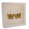 pendientes mariposa dorada pendientes mariposa dorada