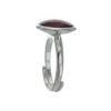 Anillo círculo de ámbar (1)
