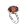Anillo círculo de ámbar (3)
