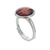 Anillo círculo de ámbar (4)